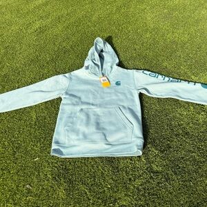 Carhartt Light Blue Pullover Hoodie with Sleeve Script